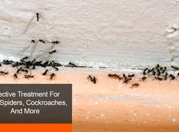 Capricorn Pest Control - Exmouth, WA. Effective Treatment For Ants, Spiders, Cockroaches, And More