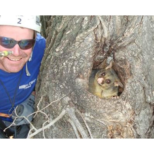 TreeSpec Professional Arborists