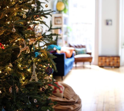 Christmas Tree Brooklyn - Brooklyn, NY