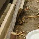 All In One Wildlife & Pest - Pest Control Equipment & Supplies
