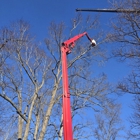 Sidonian Tree Service