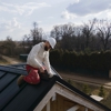 EC Roofing & Home Services gallery