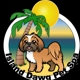 Island Dawg Pet Spa
