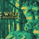 Lone Wolf Business Solutions - Marketing Consultants