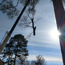 Atkins Tree Service - Stump Removal & Grinding