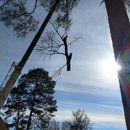 Atkins Tree Service - Tree Service