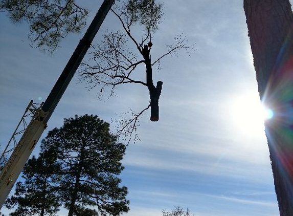 Atkins Tree Service - Shreveport, LA