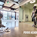 PD100 Academy of Art - Art Instruction & Schools