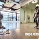 PD100 Academy of Art