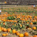 Tanaka Farms - Grocery Stores