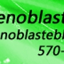 Genoblaste Art Services