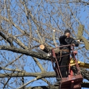 K&J Tree Service - Tree Service