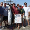 Islander Sport Fishing Charter gallery