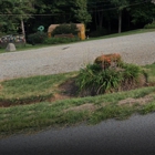 Finishing Touches Lawn Care