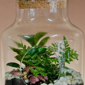 Gallery Image Number 6