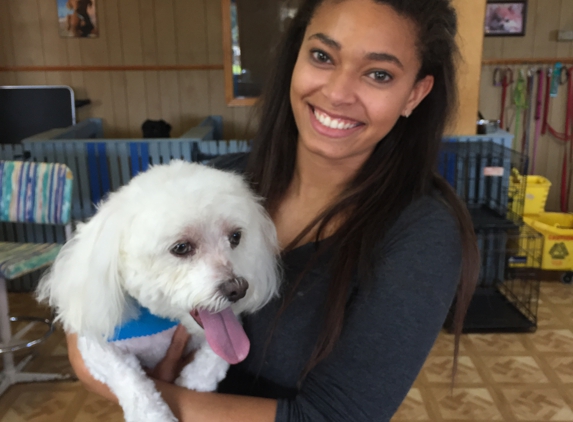 Yuppy Puppy Grooming - Santa Rosa Beach, FL