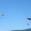 Skydive Lost Prairie gallery