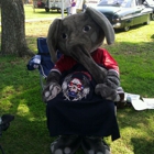 Bama Fever-Tiger Pride