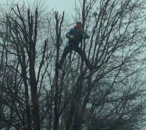 Kottman's Tree Service - Saint Charles, MO