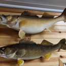 Lake & Sky Taxidermy - Taxidermists