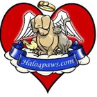 Chicagoland Pet Cremation