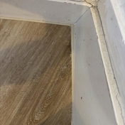 Gallery Image Number 6