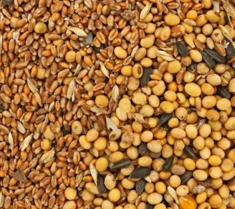 Valentine Plains Seeds And Grains - Valentine Plains, QLD