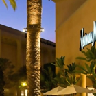 Neiman Marcus