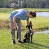 Pivotal Dog Training gallery