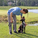 Pivotal Dog Training - Dog Training