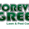 Forever Green Lawn and Pest Control gallery