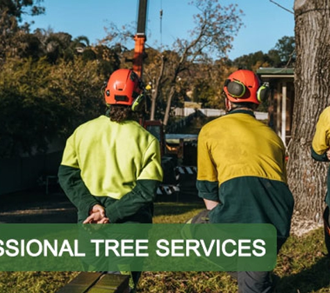 Curtis Tree Lopping Specialists - West Wodonga, VIC. Professional Tree Services