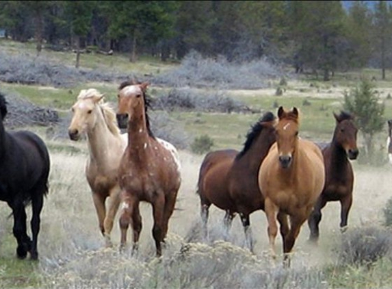 Horseback Oregon - Hammond, OR