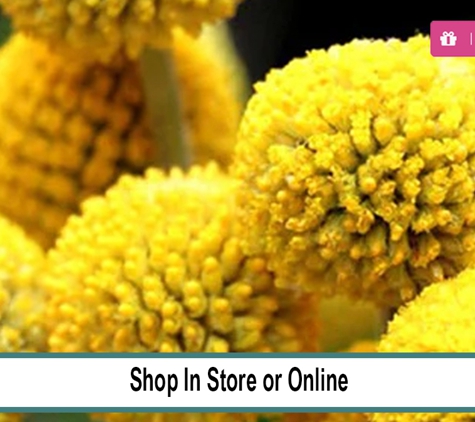 Stoneman's Garden Centre - Glenorchy, TAS. Shop Plants, Pots, Gifts and Garden Must Haves.