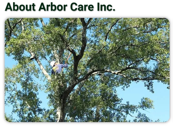 Arbor Care Inc - Houston, TX