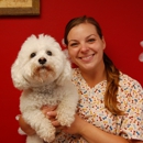 Town & Country Veterinary Hospital - Pet Services