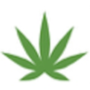 Medcan Florida - Medical Clinics