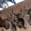 Heritage Taxidermy - Taxidermists