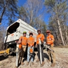 Arborall Tree Service gallery
