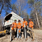 Arborall Tree Service