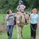 Southern Tier Alternative Therapies Inc.