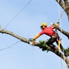 Highpoint Tree Care gallery