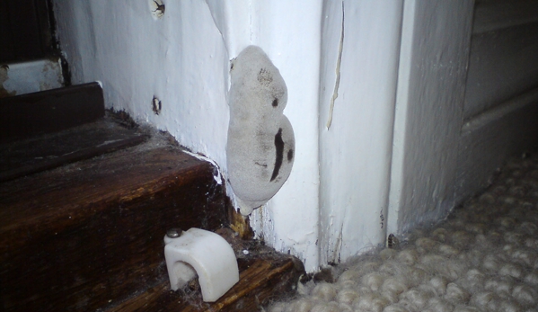 Systems Pest Management Pty Ltd - Thornleigh, NSW