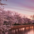 Holiday Inn Express & Suites Washington DC - Noma by IHG - Hotels