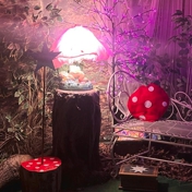 Gallery Image Number 3