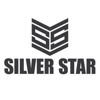 Silver Star Painting gallery