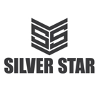 Silver Star Painting