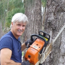Bargain Stump & Tree Removal - Tree Service