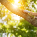 Senn's Tree Service - Tree Service