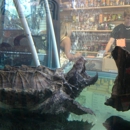 Hogtown Reptile Shop Inc - Pet Stores